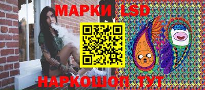 СК Обь