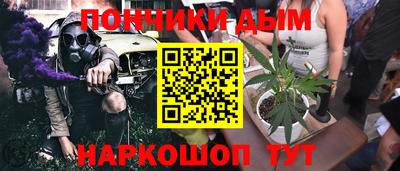 СК Обь