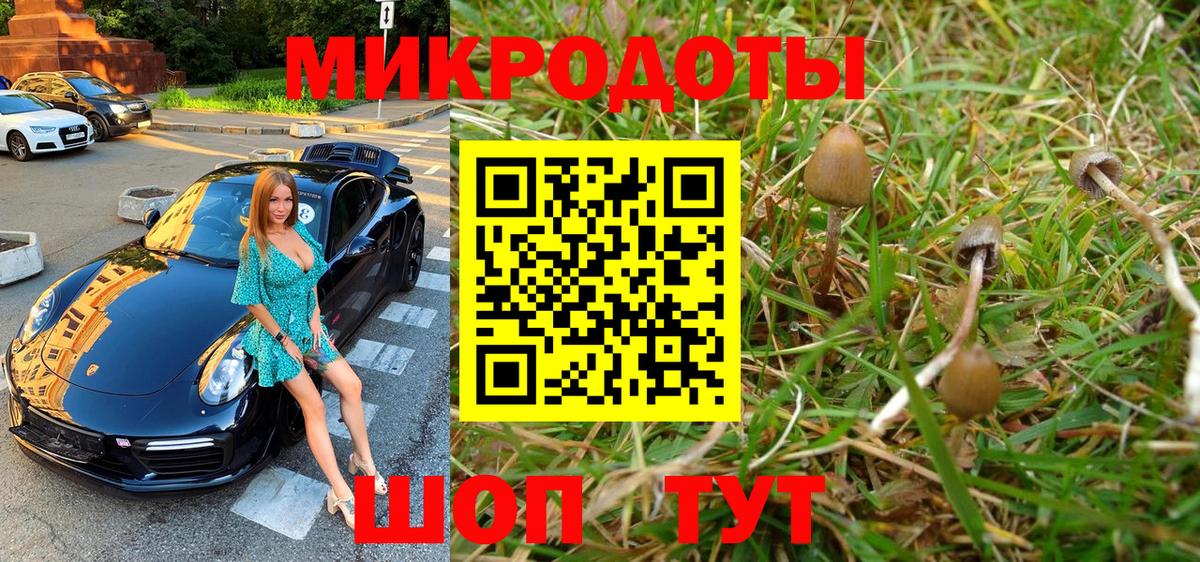 Галлюциногенные грибы MAGIC MUSHROOMS Троицк