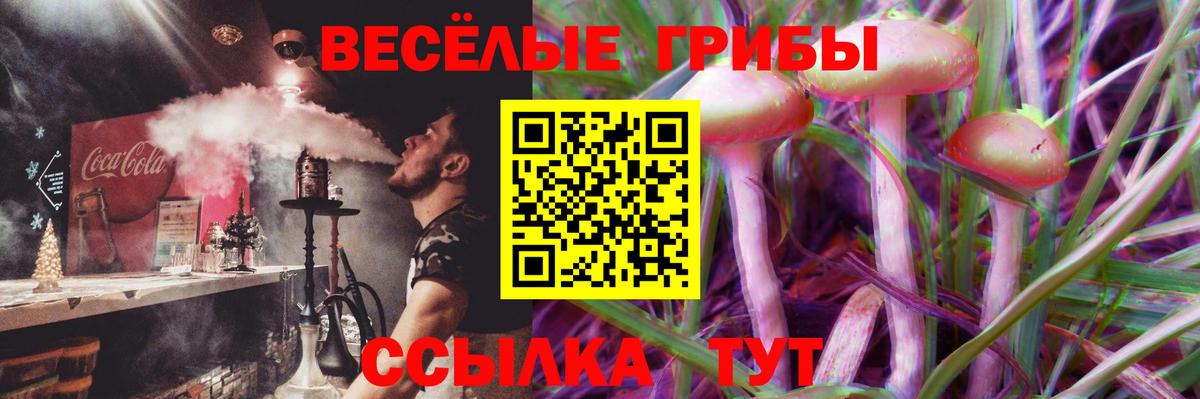 Троицк  Галлюциногенные грибы ЛСД  Вход с VPN 